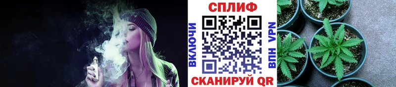 ГАШ Лобня