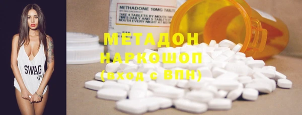 шишки Арсеньев