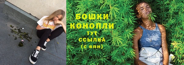 шишки Арсеньев