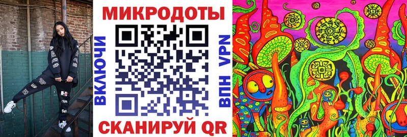 Псилоцибиновые грибы Psilocybine cubensis  Лобня 